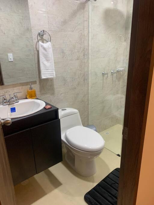 Apartamento Maravilloso En La Zona Colonial